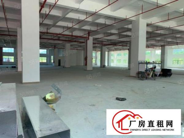  虎门镇怀德村雅瑶，面积4300平，4台3吨货梯加2台2吨客梯