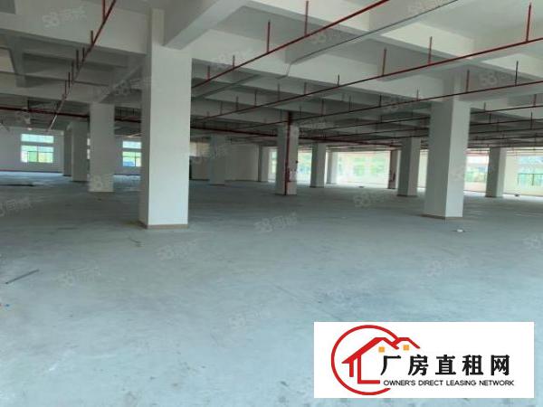  虎门镇怀德村雅瑶，面积4300平，4台3吨货梯加2台2吨客梯