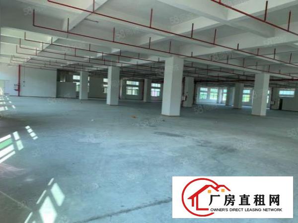  虎门镇怀德村雅瑶，面积4300平，4台3吨货梯加2台2吨客梯