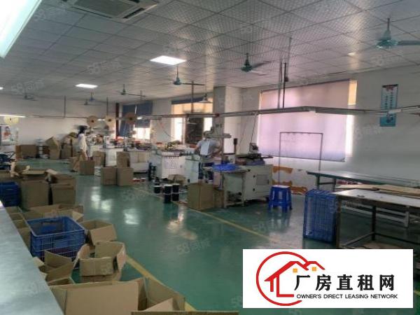  电子客户搬迁！精装修1000平米现成四间办公室