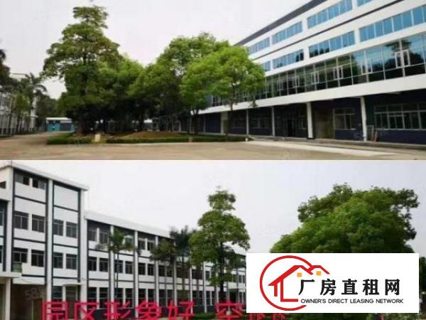  10元每平方！环莞快速旁4200平方豪华装修独院厂房出租啦！