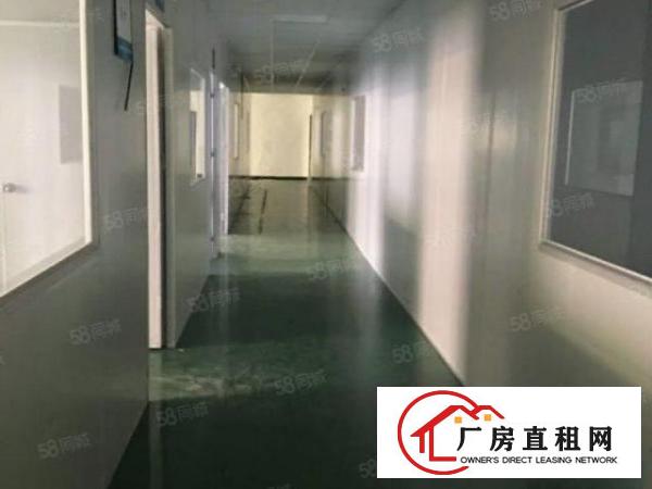  10元每平方！环莞快速旁4200平方豪华装修独院厂房出租啦！