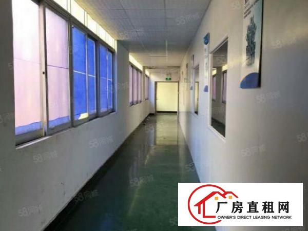  10元每平方！环莞快速旁4200平方豪华装修独院厂房出租啦！