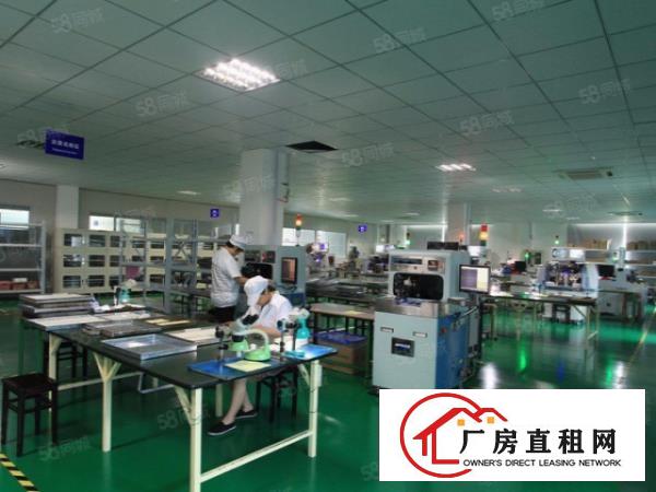  南栅工业区独院楼上带装修厂房，1200平方
