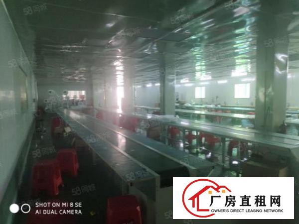  虎门高速出口1公里新出花园式独门独院厂房