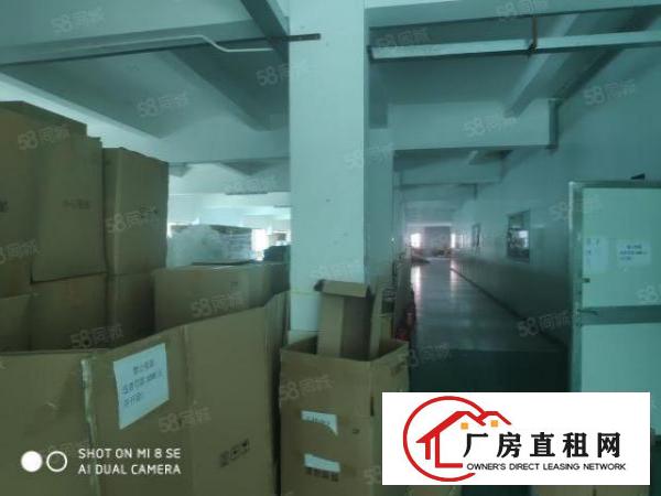  虎门高速出口1公里新出花园式独门独院厂房