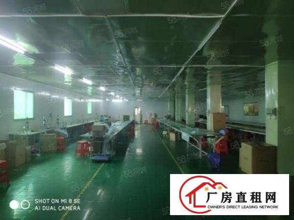  虎门高速出口1公里新出花园式独门独院厂房