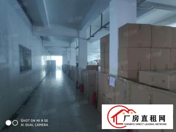  虎门高速出口1公里新出花园式独门独院厂房