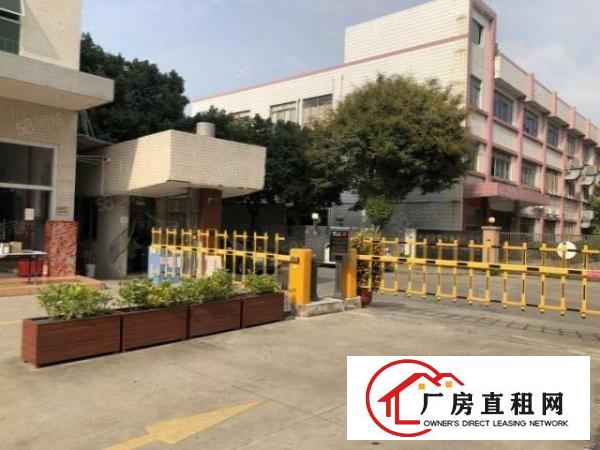  虎门大宁南江园新出240平米15元带装修带办公室手慢无咯
