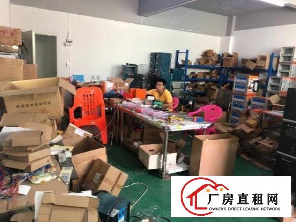  虎门大宁南江园新出240平米15元带装修带办公室手慢无咯