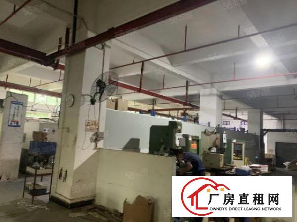  虎门北栅新空出一楼1200平500平带装修水电出租