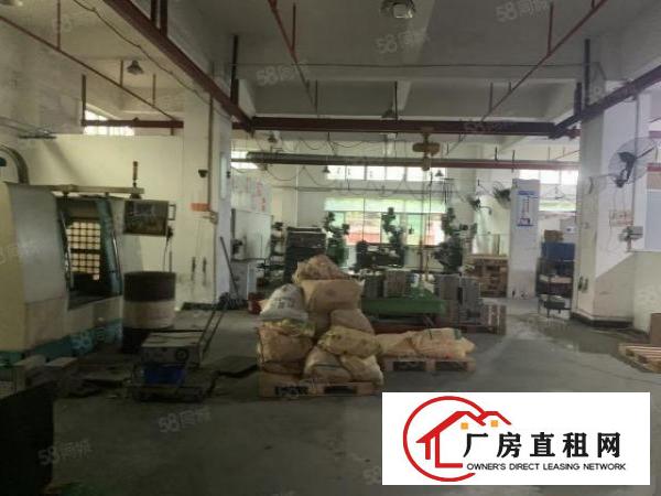  虎门北栅新空出一楼1200平500平带装修水电出租