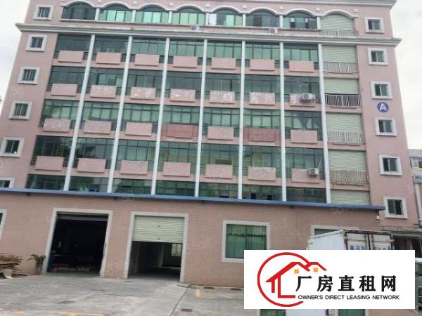  虎门北栅新空出一楼1200平500平带装修水电出租