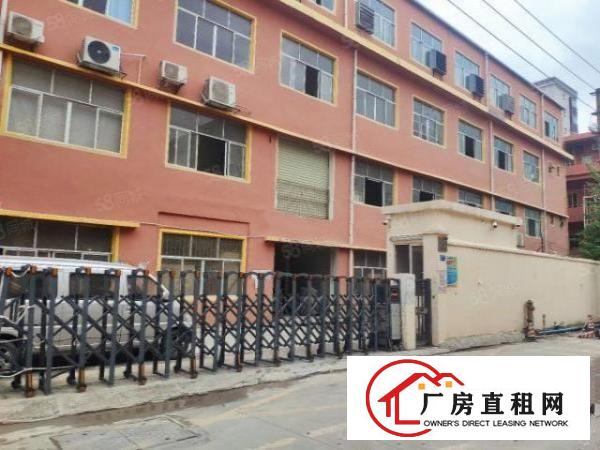  虎门北栅新出厂房，周边基础设施完善，厂房采光好，随时可看！！