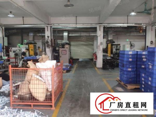  虎门北栅新出厂房，周边基础设施完善，厂房采光好，随时可看！！