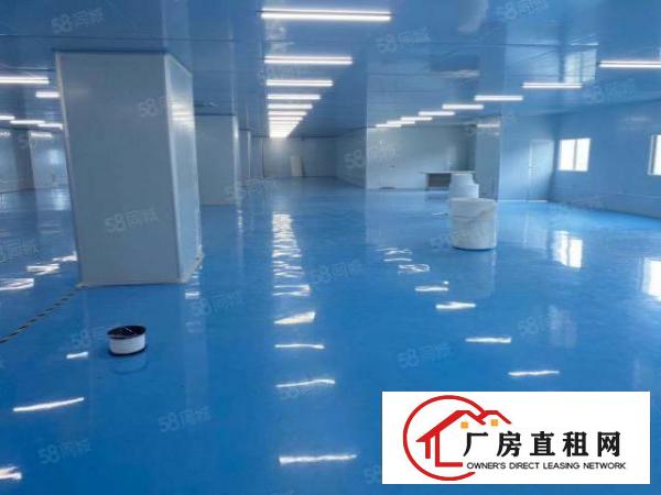 虎门新出无尘车间厂房出租