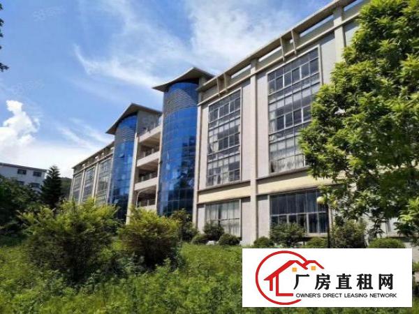  虎门滨海湾新区2000花园式厂房特价招租可办环评天然气己接入