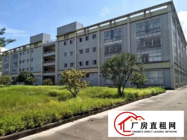  虎门滨海湾新区2000花园式厂房特价招租可办环评天然气己接入
