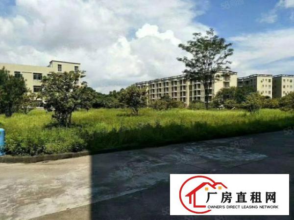  虎门滨海湾新区2000花园式厂房特价招租可办环评天然气己接入