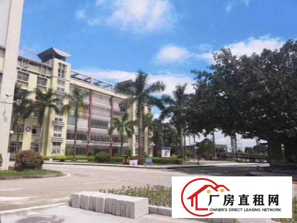  虎门滨海湾新区2000花园式厂房特价招租可办环评天然气己接入