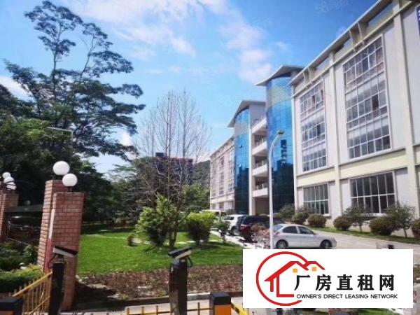  虎门滨海湾新区2000花园式厂房特价招租可办环评天然气己接入