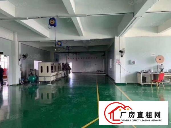  新出独院！虎门南栅4650平方独院，形象好采光强，可办环评
