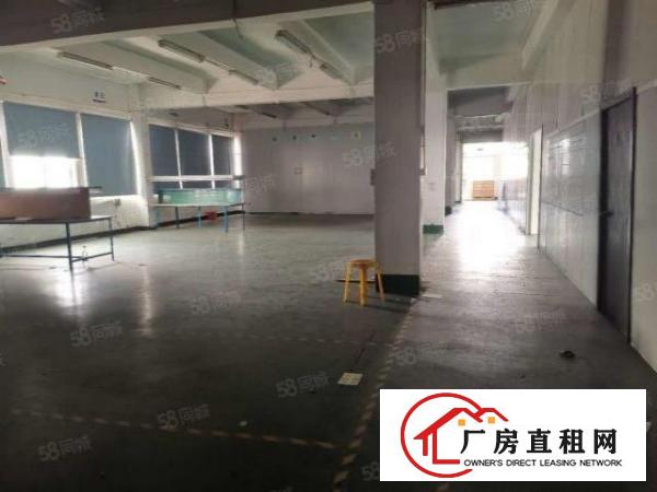  北栅原房东独门独院5500平厂房招租水电费自己交