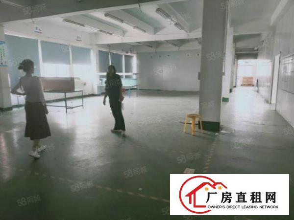  北栅原房东独门独院5500平厂房招租水电费自己交