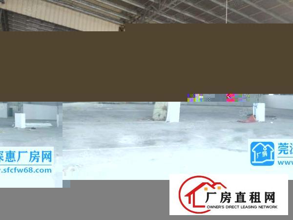  虎门（出租）笋！可做仓库和物流原房东2400平全新独院钢构新