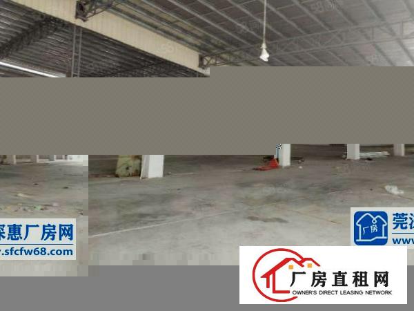  虎门（出租）笋！可做仓库和物流原房东2400平全新独院钢构新