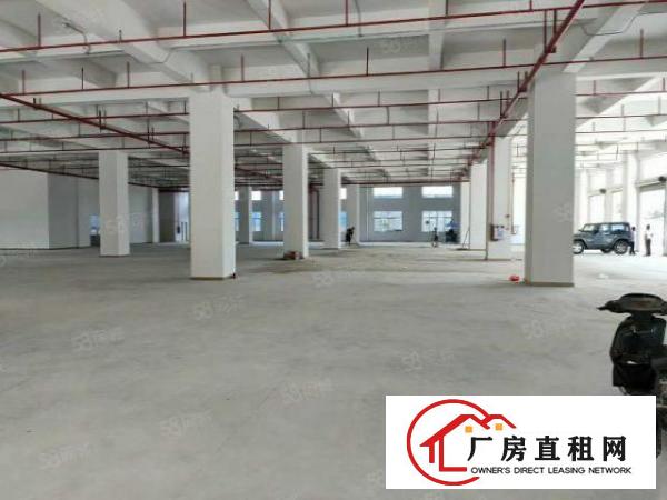  虎门本地房东，全新工业大厦正式招租