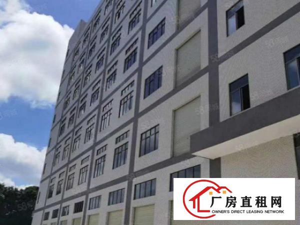  虎门本地房东，全新工业大厦正式招租