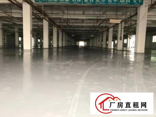  虎门居岐大型园区内独立一栋厂房5000方出租