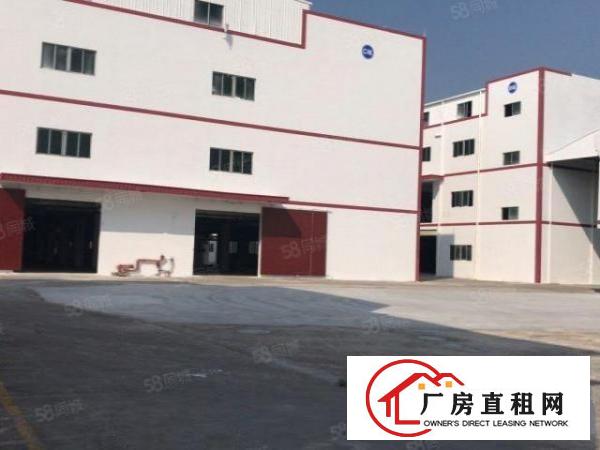  虎门居岐大型园区内独立一栋厂房5000方出租