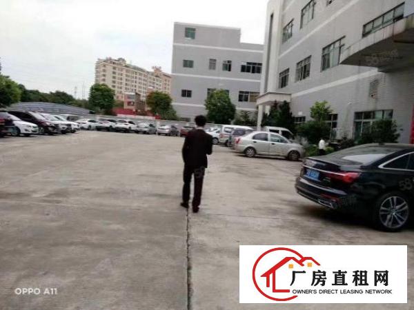  虎门北栅（独院）新出原房东独院5700平形象靓丽可办环评