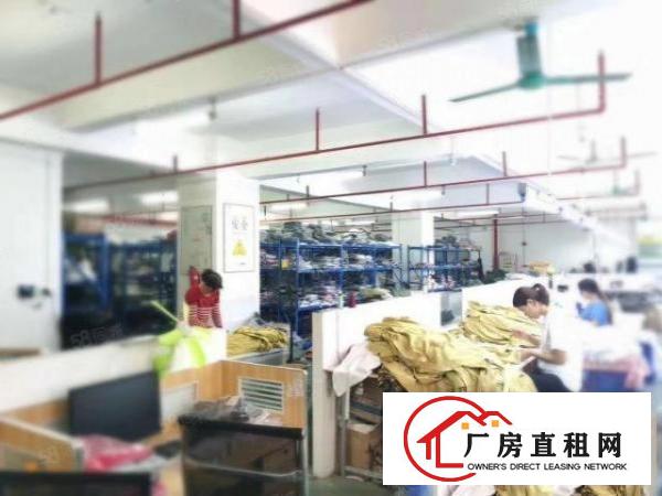  虎门北栅（独院）新出原房东独院5700平形象靓丽可办环评