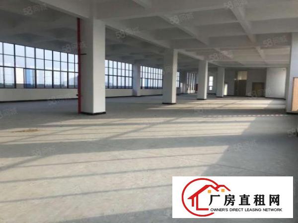  南栅沿江高速旁一楼1080平楼上730平带地面漆水电齐全