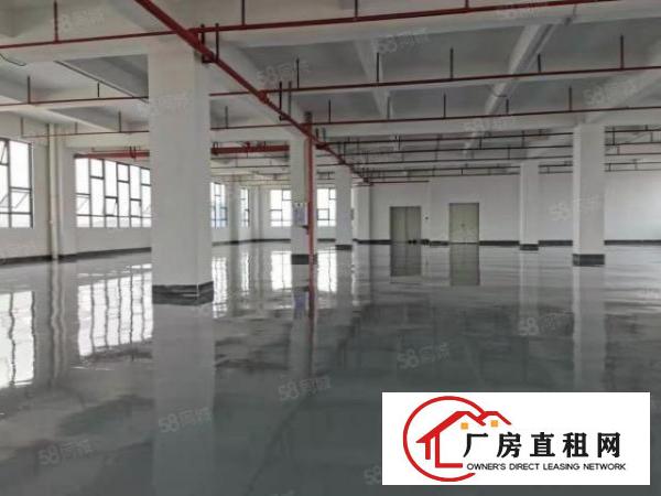  东莞虎门北栅靠怀德新出独院标准厂房5860平方低价出租