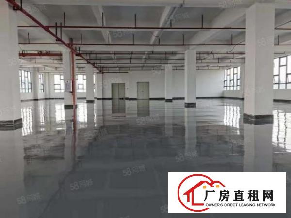  东莞虎门北栅靠怀德新出独院标准厂房5860平方低价出租