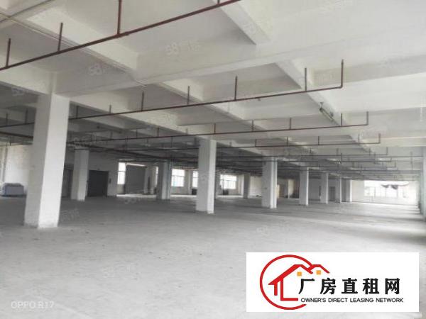  厚街9元厂房！原房东独院靓盘800平原房东工业用地，