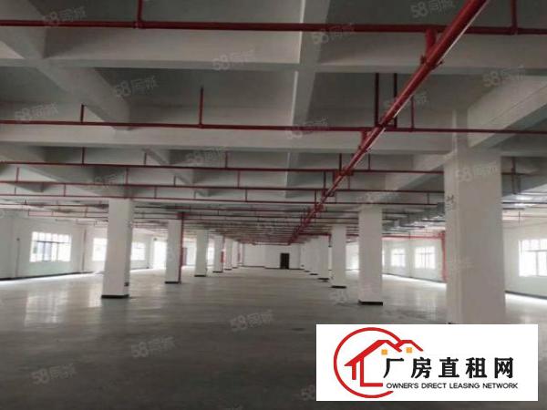 虎门怀德雅瑶工业区原房东独院厂房1300平方米出租可办环评