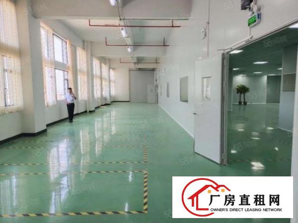  虎门镇沿江高速出口附近一手原房东花园式独院35000平方出租