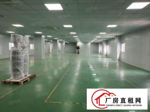  虎门镇沿江高速出口附近一手原房东花园式独院35000平方出租