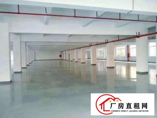  （喷油厂房）虎门龙眼全新喷油厂房，现成喷油环评及废气处理设备