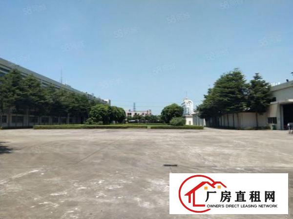 虎门新湾新出花园式厂房800平精装出租可分分租两家