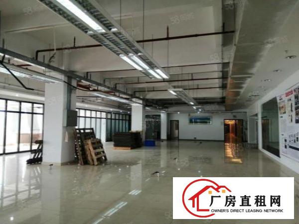  虎门新湾新出花园式厂房800平精装出租可分分租两家