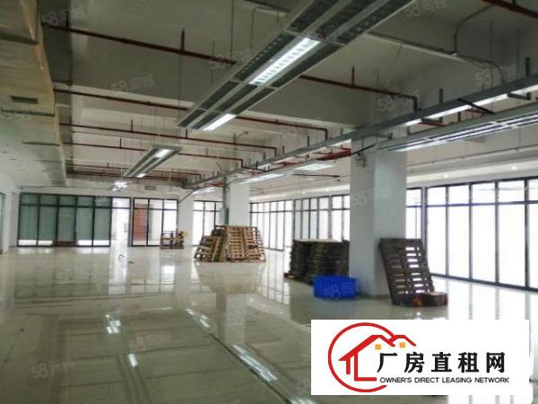  虎门新湾新出花园式厂房800平精装出租可分分租两家