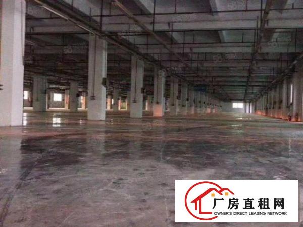  虎门怀德（免押金厂房）出租大小分租