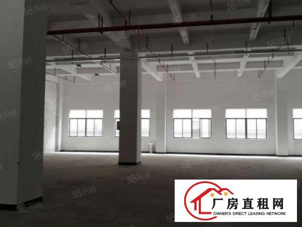  虎门怀德（免押金厂房）出租大小分租