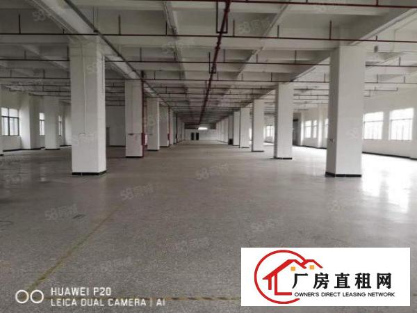  虎门怀德（免押金厂房）出租大小分租